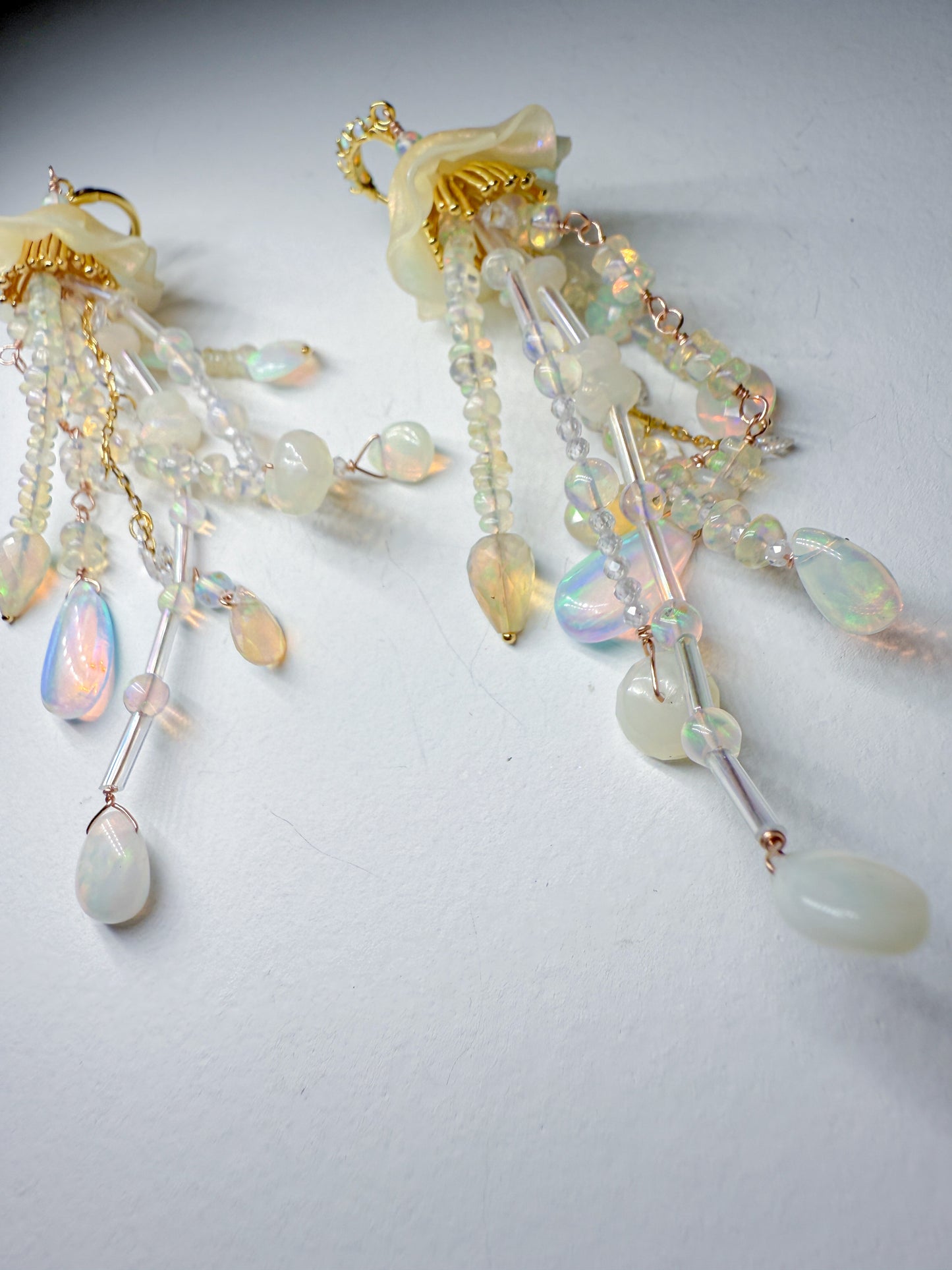 All opal jellies