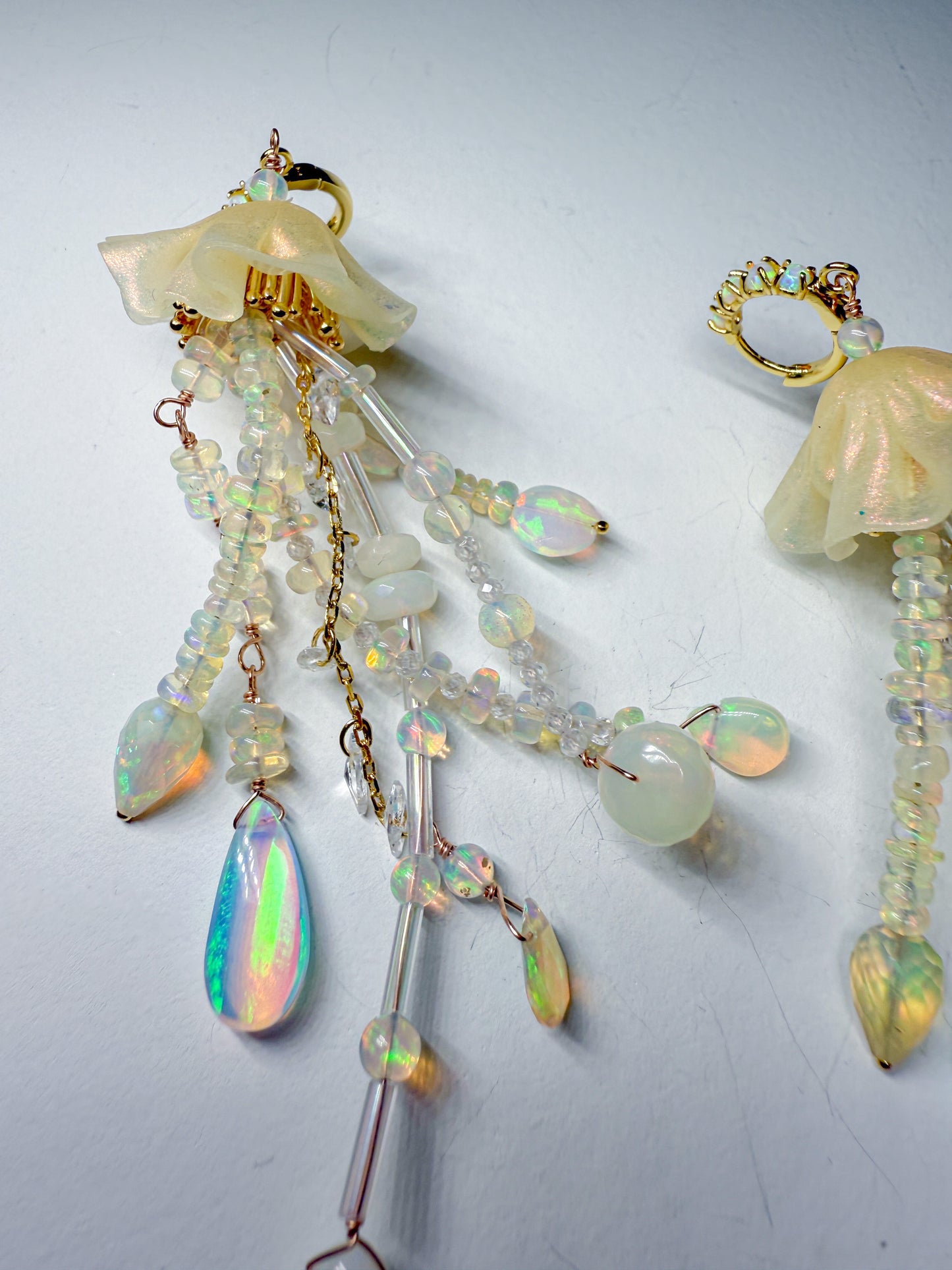 All opal jellies