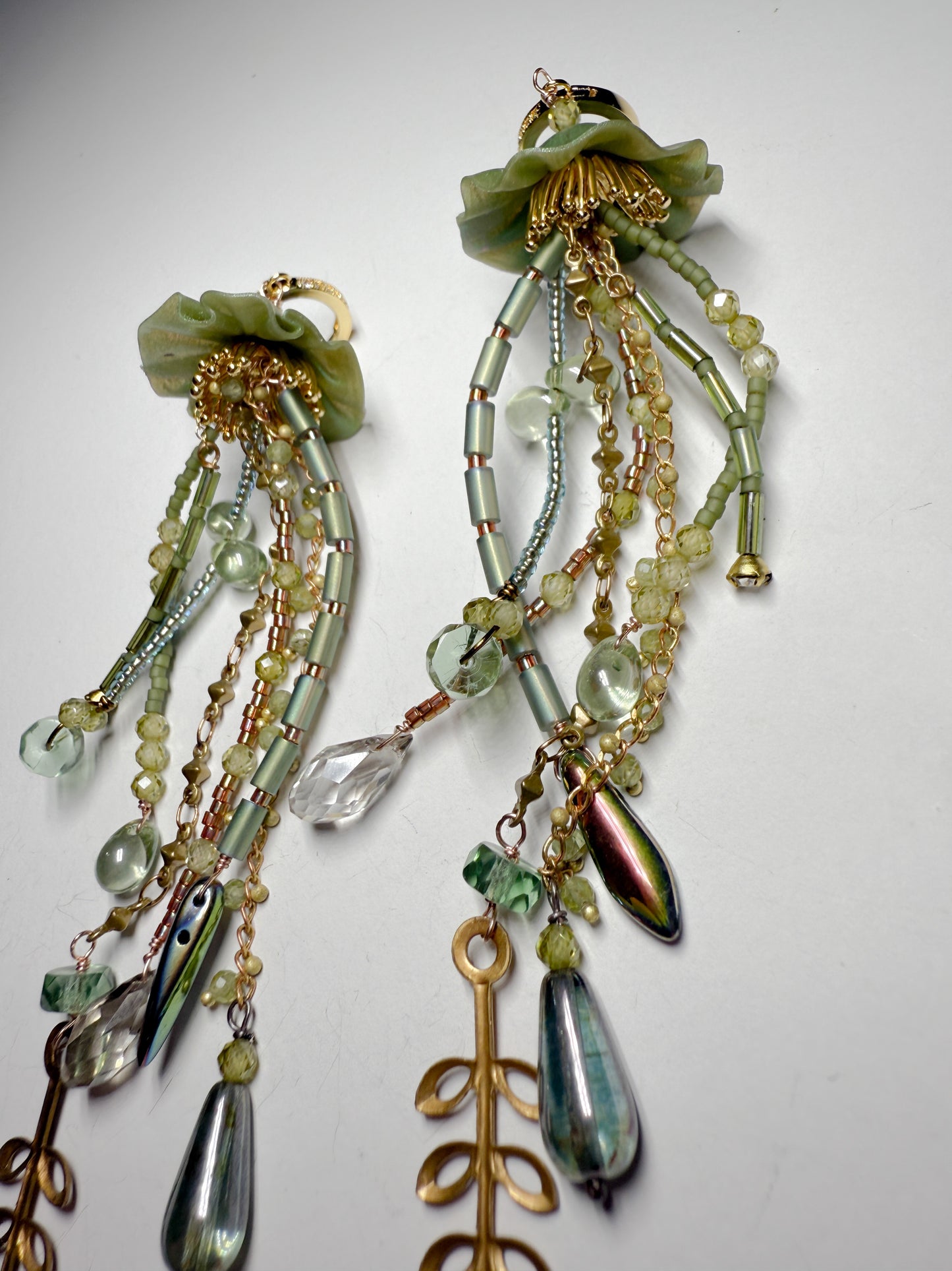 Kelp forest jellies