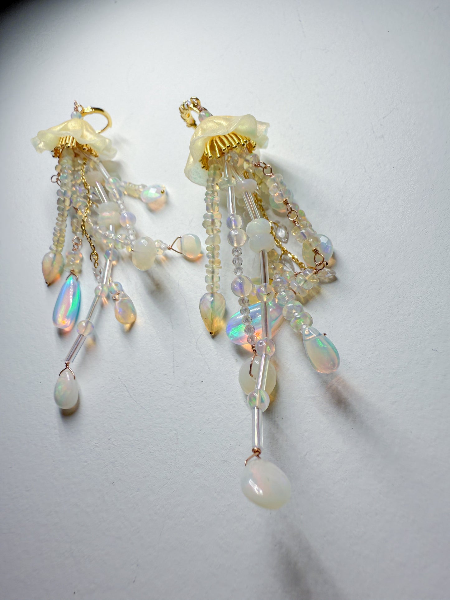 All opal jellies