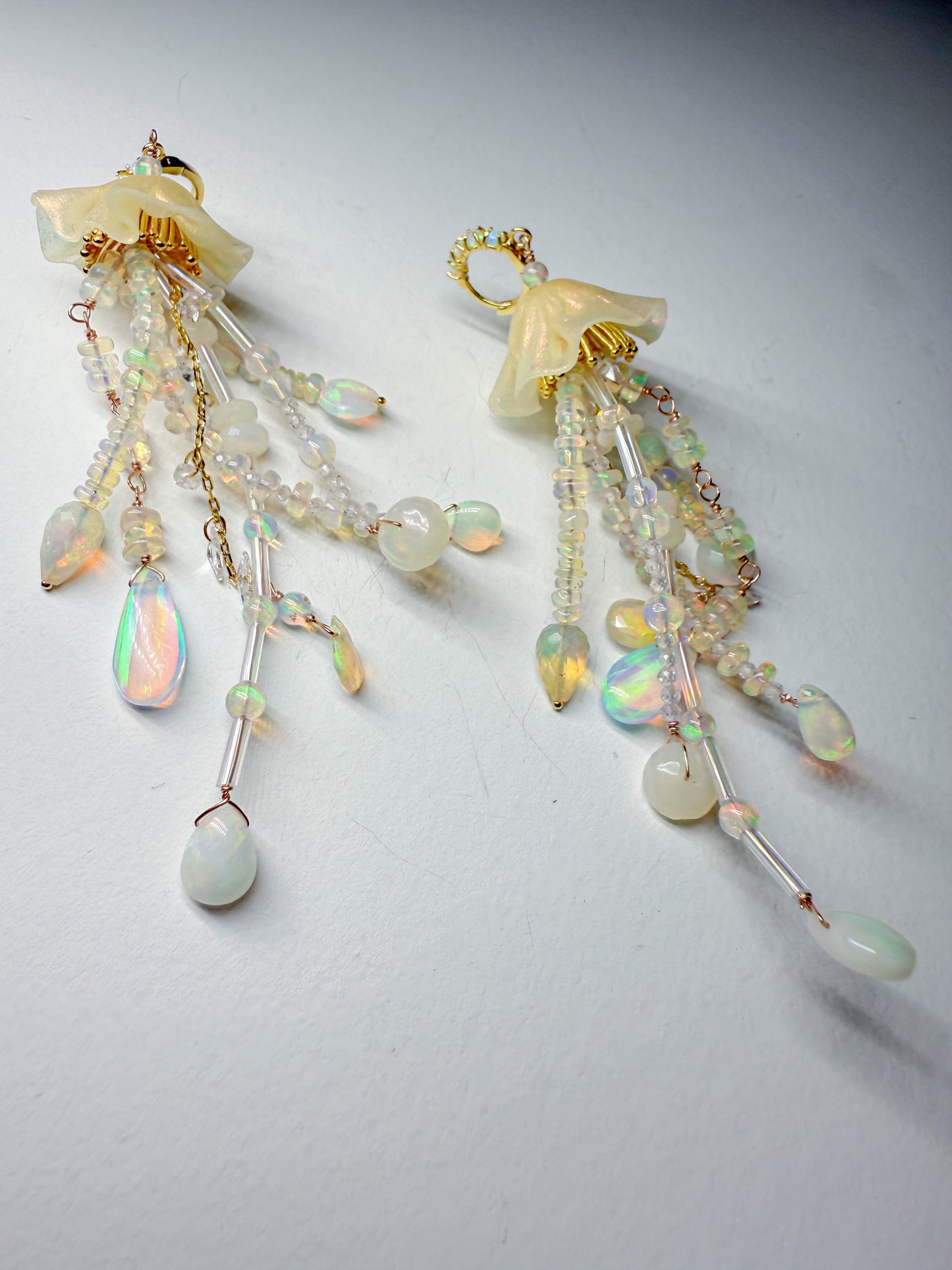 All opal jellies