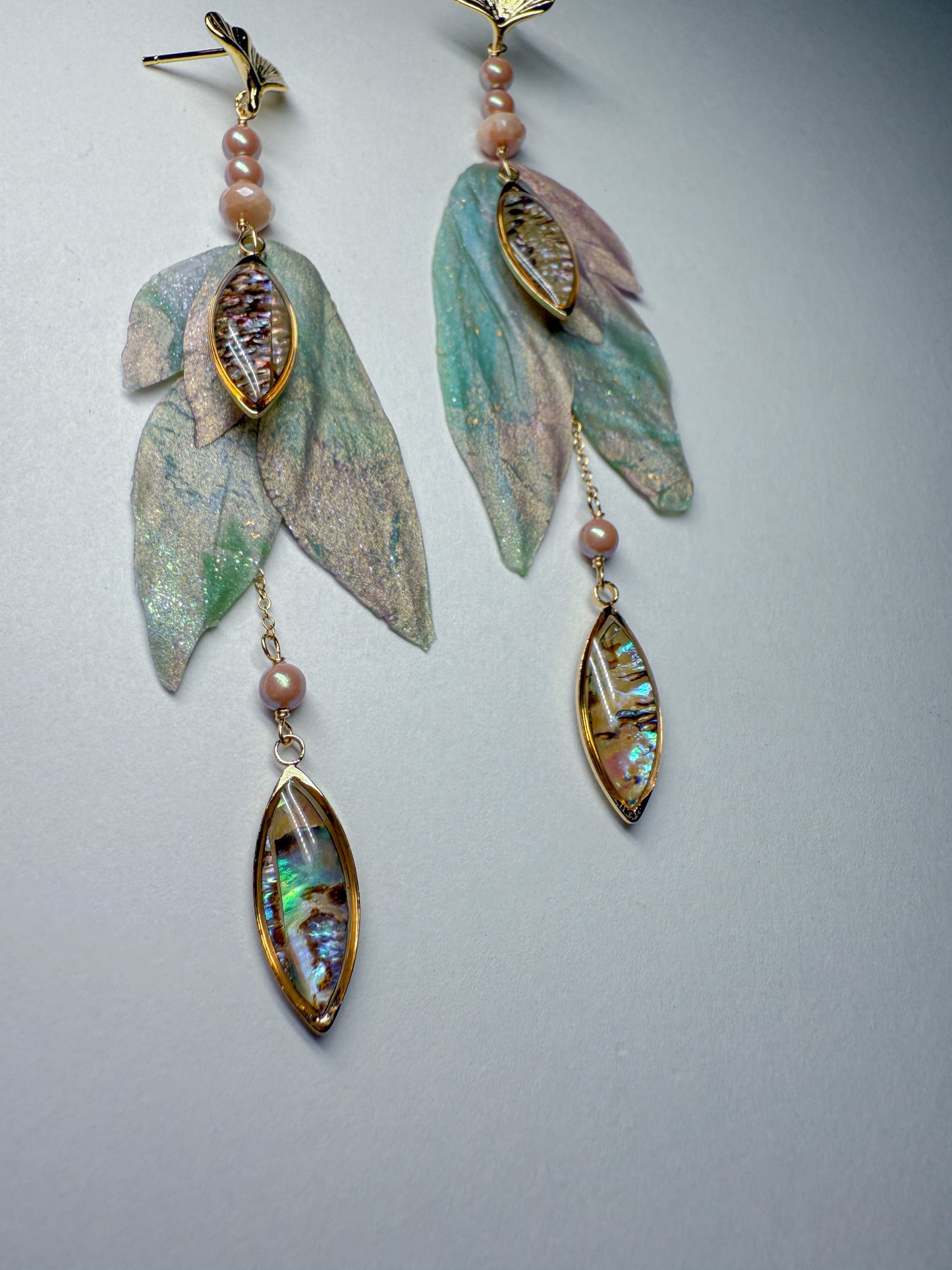 Abalone Treasure