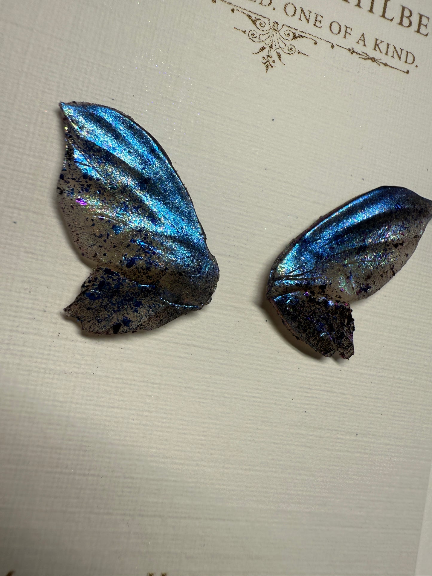 WS02