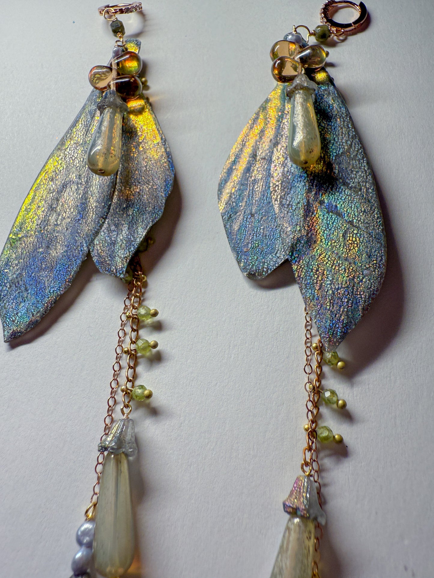 Dragonfly