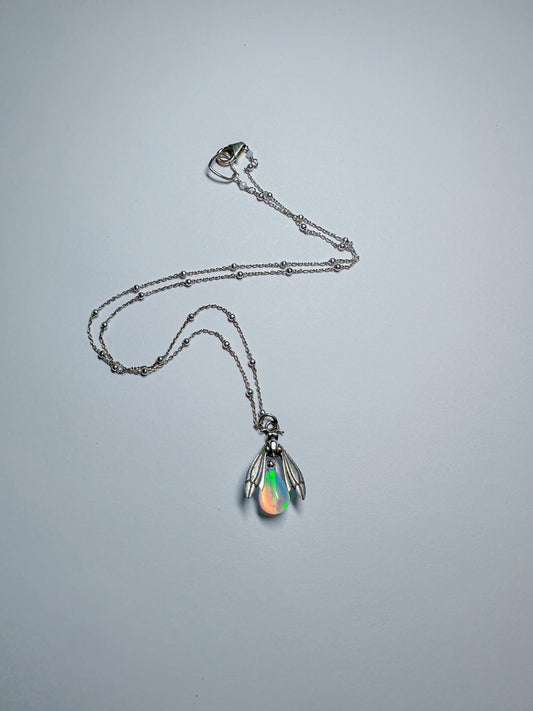 Opal Firefly