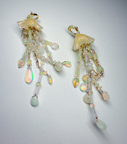 All opal jellies
