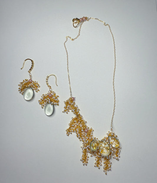 Seaweed Set