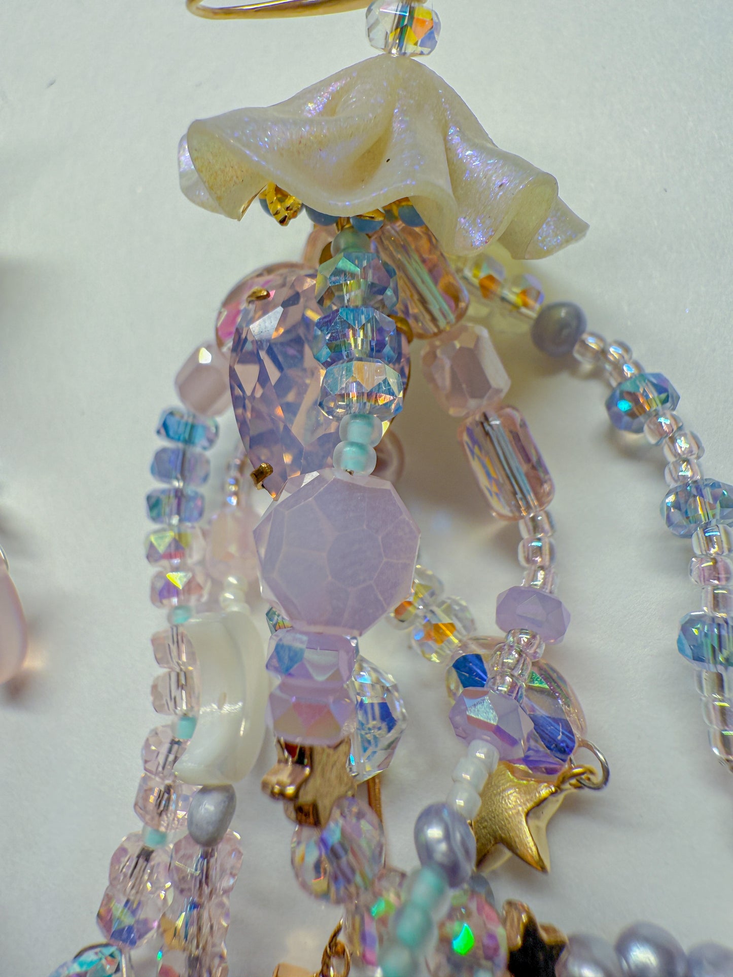 Moon jellies