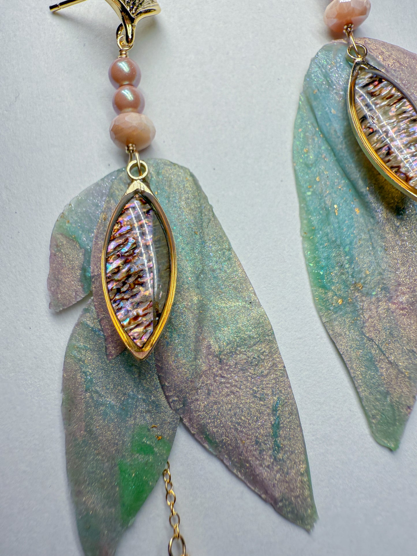 Abalone Treasure